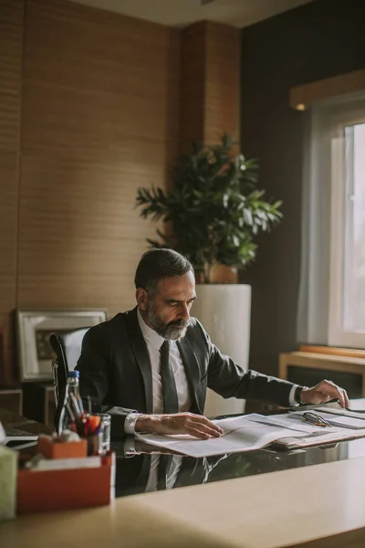 Retrato Del Hombre Negocios Sénior Que Trabaja Una Oficina Moderna — Foto de Stock