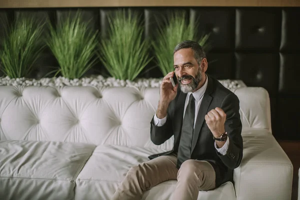 Cep telefonu kullaranarak ve ofiste kanepede oturan üst düzey işadamı portresi