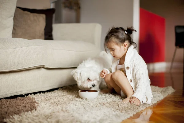 Menina Brincando Com Cão Branco Quarto Casa — Fotografia de Stock