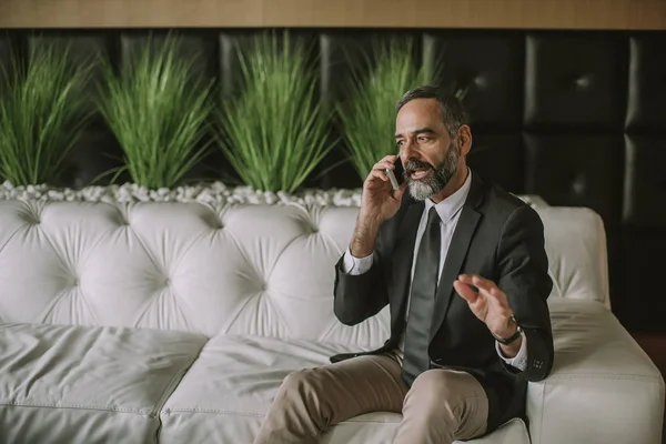 Cep telefonu kullaranarak ve ofiste kanepede oturan üst düzey işadamı portresi