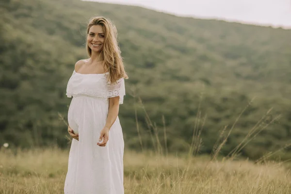 Jovem Mulher Grávida Relaxando Fora Natureza Dia Verão — Fotografia de Stock