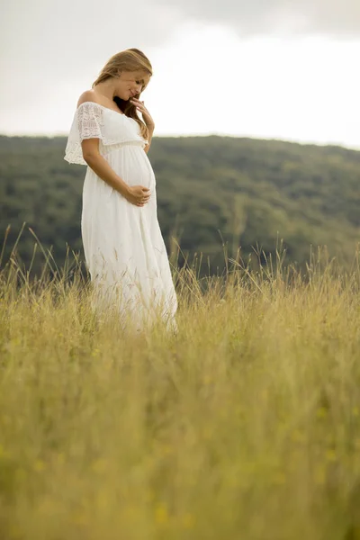 Junge Schwangere Frau Entspannt Sich Sommertagen Draußen Der Natur — Stockfoto