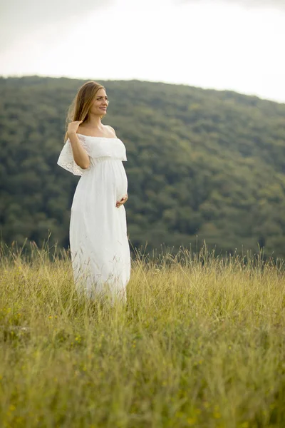夏日少女在大自然中放松的年轻孕妇 — 图库照片