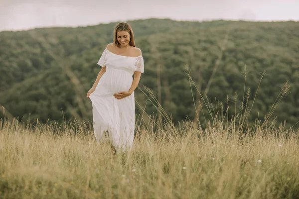 Jonge Zwangere Vrouw Ontspannen Buiten Natuur Een Zomerdag — Stockfoto