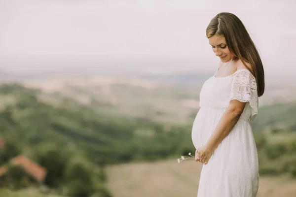 Jeune Femme Enceinte Détendre Extérieur Dans Nature Jour Été — Photo