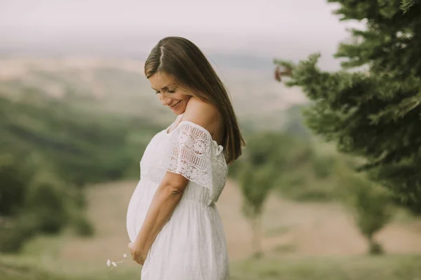 Jonge Zwangere Vrouw Ontspannen Buiten Natuur Een Zomerdag — Stockfoto