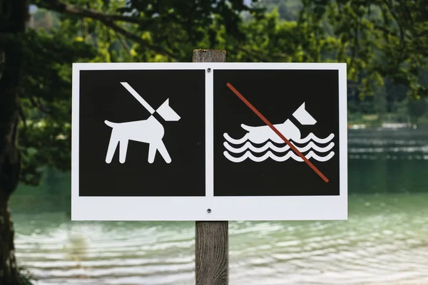 Vista Nessun Cane Segno Balneazione Sul Cartello — Foto Stock