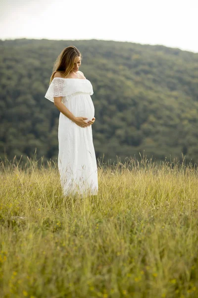 Junge Schwangere Frau Entspannt Sich Sommertagen Draußen Der Natur — Stockfoto