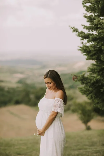 Jonge Zwangere Vrouw Ontspannen Buiten Natuur Een Zomerdag — Stockfoto
