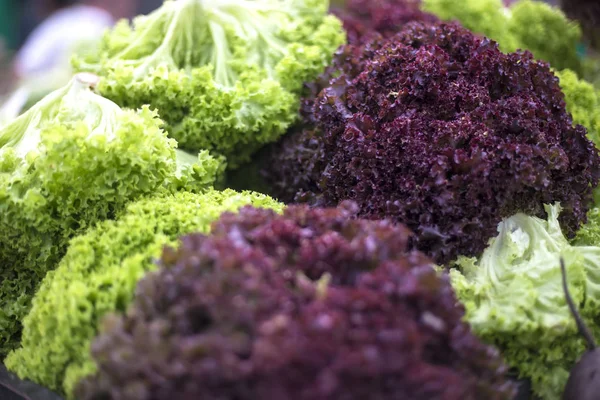 Nahsicht Auf Grünen Salat Auf Dem Markt — Stockfoto