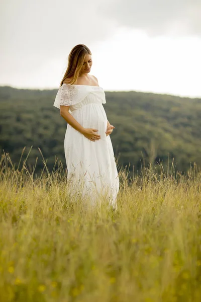 Молодая Беременная Женщина Отдыхает Природе Летний День — стоковое фото
