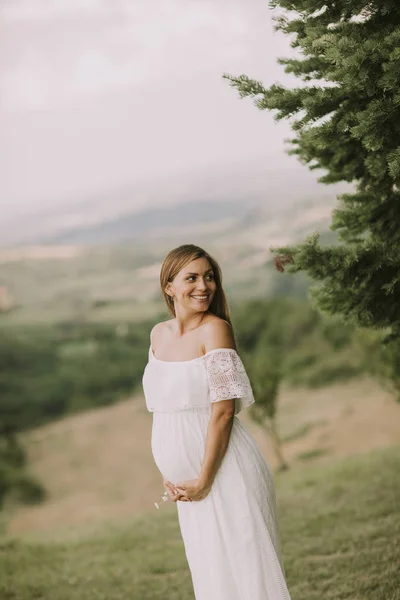 Jonge Zwangere Vrouw Ontspannen Buiten Natuur Een Zomerdag — Stockfoto