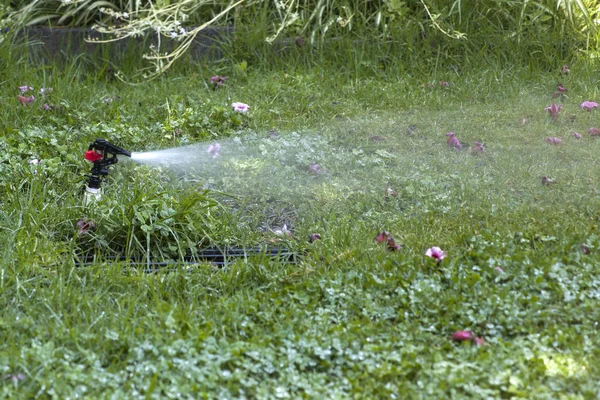 Visa Vatten Sprinkler Trädgården — Stockfoto