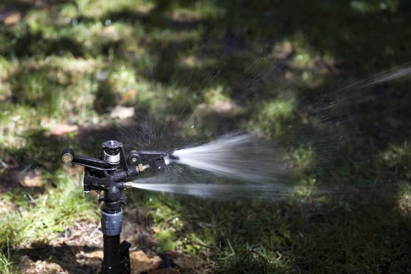 Visa Vatten Sprinkler Trädgården — Stockfoto