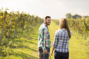 Genç çiftçilerin bir bağ üzüm hasat, görüntüleme