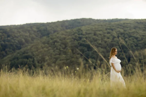 Young Pregnant Woman Relaxing Nature Summer Day — Stock Photo, Image