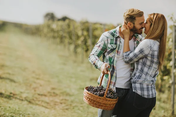 Foto Una Joven Pareja Besándose Viñedo —  Fotos de Stock