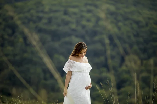 Genç Hamile Kadın Yaz Günü Doğada Dışında Rahatlatıcı — Stok fotoğraf
