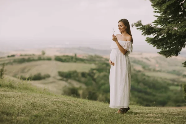 Mujer Embarazada Joven Relajarse Aire Libre Naturaleza Día Verano —  Fotos de Stock