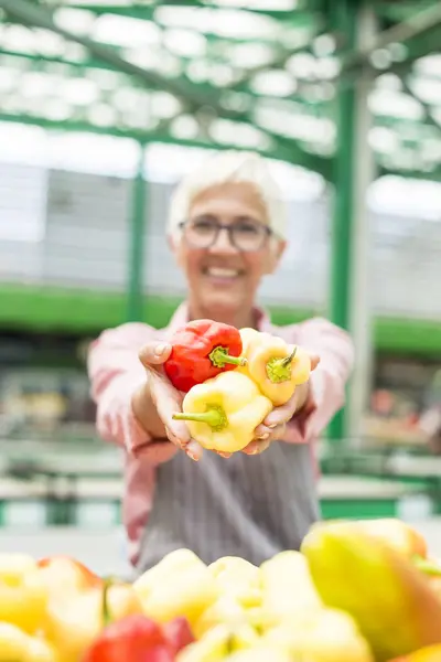 Porträtt Senior Kvinna Säljer Ekologiska Grönsaker Marknaden — Stockfoto