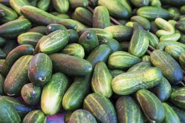 Taze salatalık yakın p manzaraya pazarında