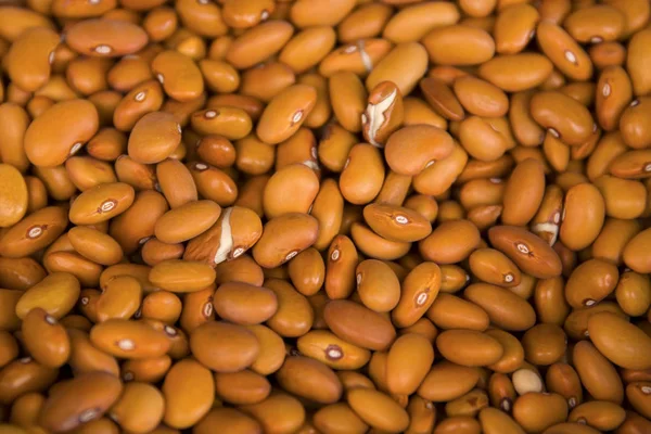 Close View Row Beans Market — Stock Photo, Image