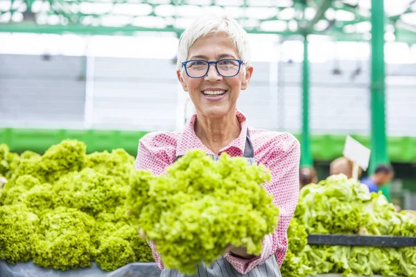 Seniorin Verkauft Salat Auf Marktplatz — Stockfoto