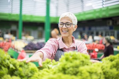 Kadın kıdemli portresi marul satış alanı'nda satıyor