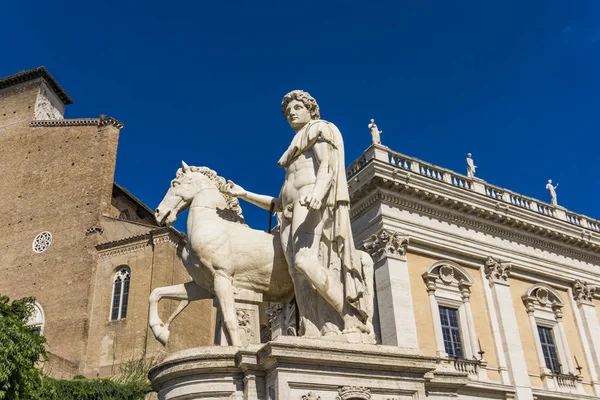 Detalj Staty Castor Med Häst Capitolium Rom — Stockfoto