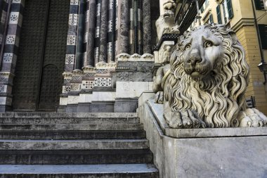 Cenova, İtalya San Lorenzo Katedrali aslan closeup