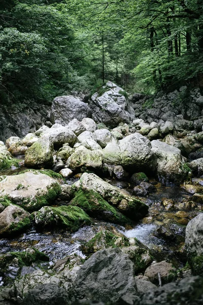 Primer Plano Cascada Savica Valle Bohinj Eslovenia — Foto de Stock