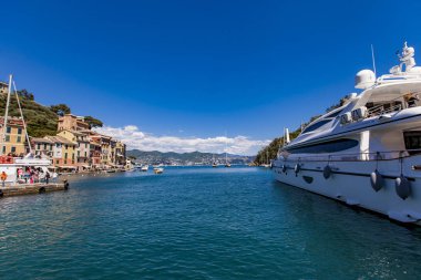 Portofino, İtalya - 29 Nisan 2017: Ayrıntı, Portofino İtalya'da defne. Portofino İtalyan Rivierası en popüler resort şehirlerinden biridir.