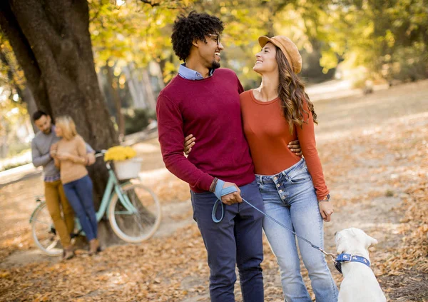 黄色い秋の公園で犬を連れて歩いて多民族のカップル — ストック写真