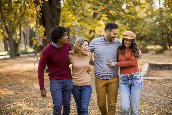 Multiraciale Unge Mennesker Går Efterårsparken Har Det Sjovt - Stock-foto