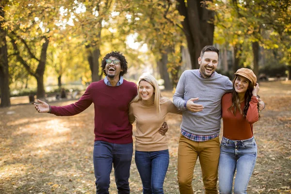 Junge Leute Spazieren Durch Den Herbstpark Und Haben Spaß — Stockfoto