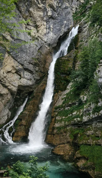 Närbild Vattenfallet Savica Dalen Bohinj Slovenien — Stockfoto