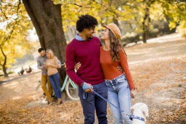 Çok ırklı çift ile sarı sonbahar parkta köpek yürüyüş