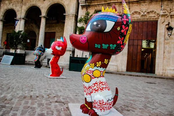 Havana Cuba Novembre 2015 Sculture Xico Piazza San Francisco Asis — Foto Stock