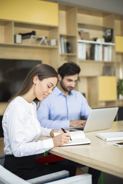 Porträt Zweier Geschäftsleute Die Modernen Büro Über Ein Neues Projekt — Stockfoto