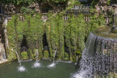 Villa d'Este Tivoli, İtalya için oval çeşmede görüntülemek