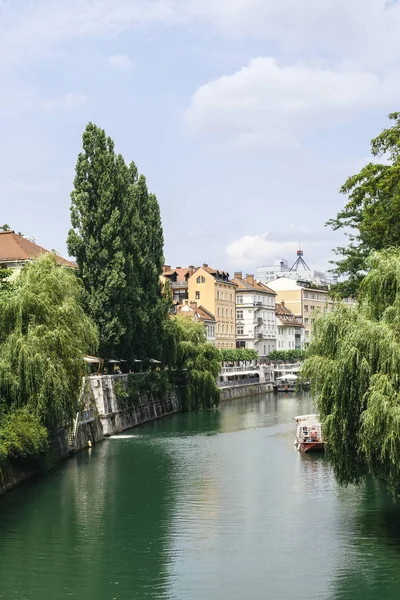 Vue Rivière Ljubljanica Ljubljana Slovénie — Photo