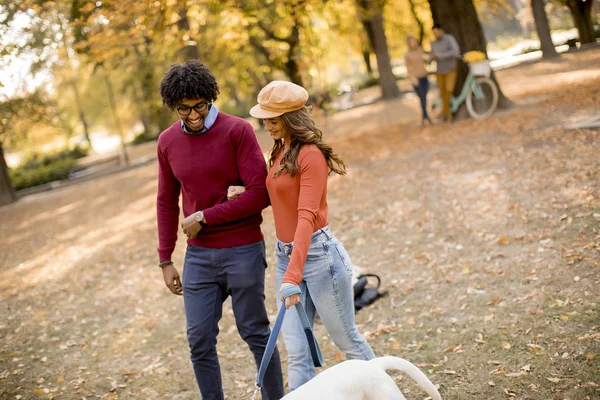 Coppia Multirazziale Che Cammina Con Cane Nel Parco Giallo Autunnale — Foto Stock