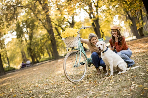 Due Amiche Che Passeggiano Nel Giallo Parco Autunnale Con Cane — Foto Stock