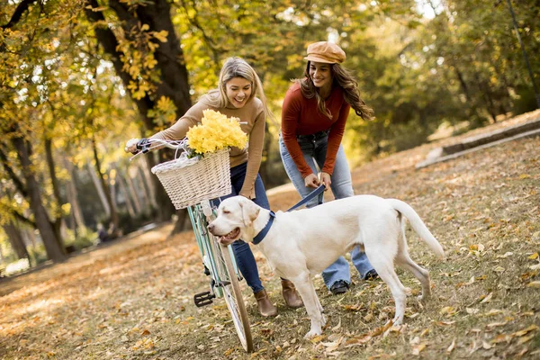 Dwie Koleżanki Spaceru Parku Jesień Żółty Pies Rower — Zdjęcie stockowe