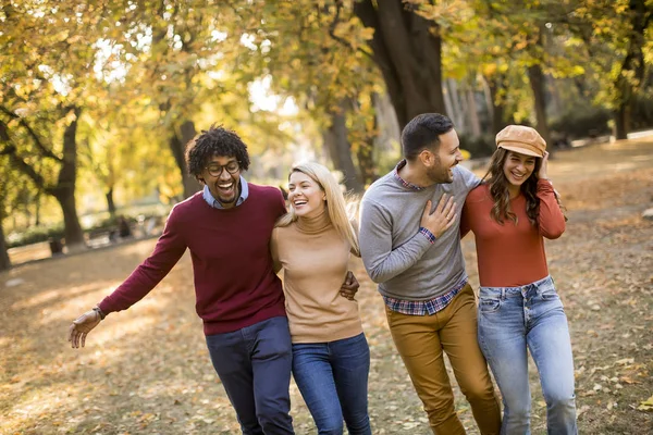 Multiraciale Unge Mennesker Går Efterårsparken Har Det Sjovt - Stock-foto