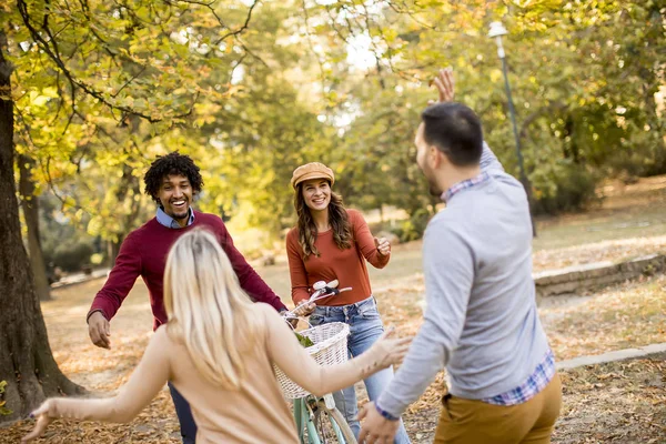 Jóvenes Multiraciales Caminando Parque Otoñal Divirtiéndose — Foto de Stock