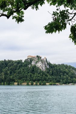 Vi8ew gölde Bled Slovenya