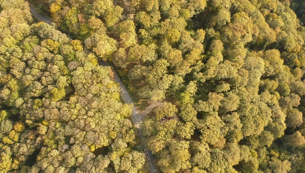 Vista Aérea Carretera Hermoso Bosque Otoño —  Fotos de Stock