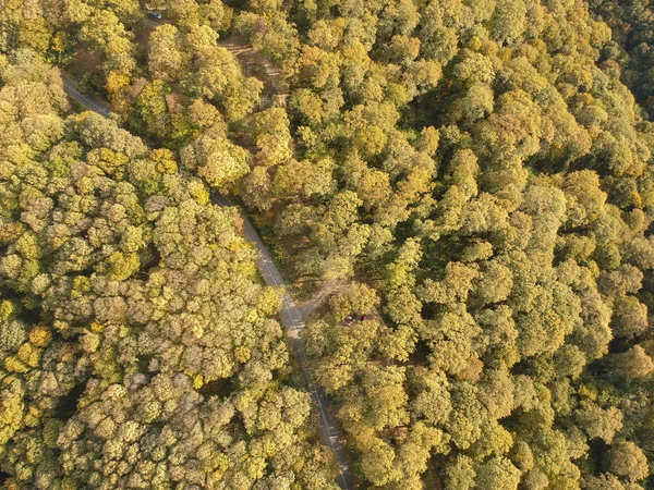 Vista Aérea Carretera Hermoso Bosque Otoño —  Fotos de Stock