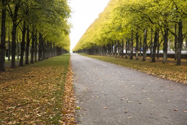 View Autumn Alley Park — Stock Photo, Image